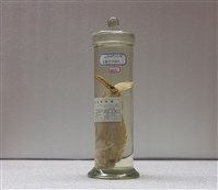 藏品(鬼石狗公)的圖片